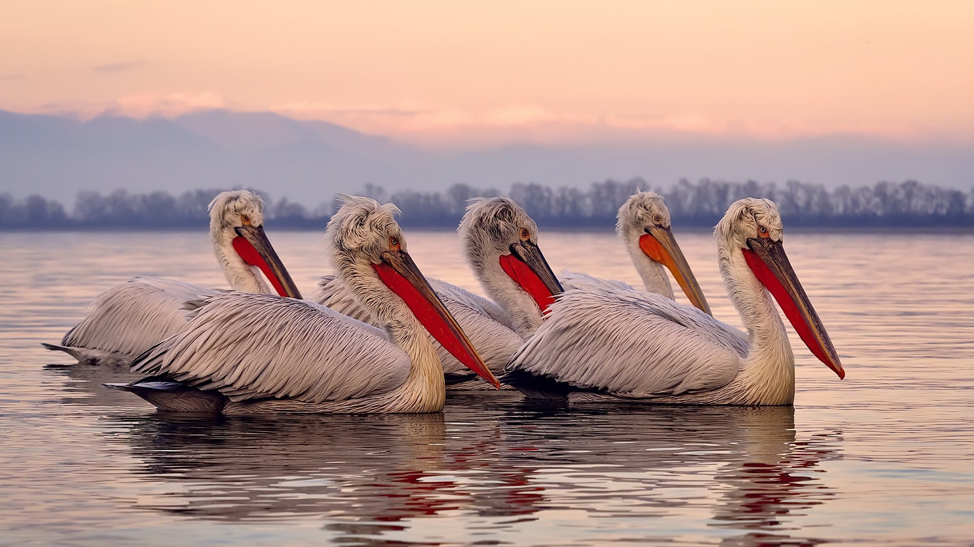 冰与火的缠斗,心与技的淬炼—马克西在世界排名之夜冲破心魔