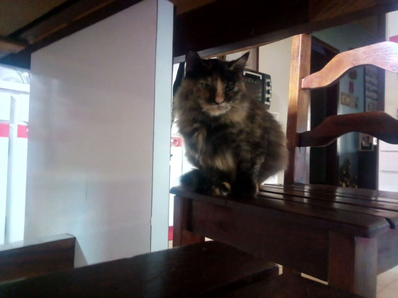 硬仗磨砺王者心，巴西险胜芬兰，加克波关键时刻定乾坤